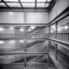 Brown Palace: Atrium